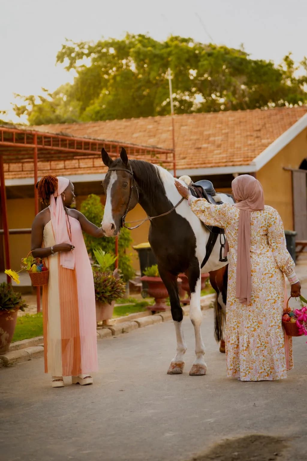 Deux Bloomies auprès d'un cheval dans la cour